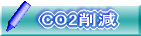 CO2�팸